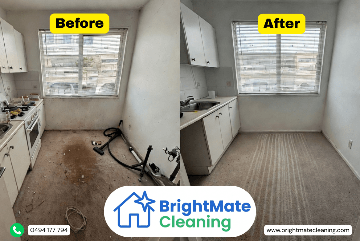 Carpet cleaning before and after